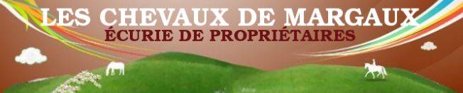 les chevaux de margaux