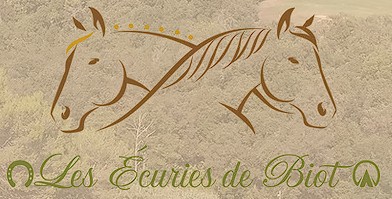 les ecuries de biot, pension pour chevaux dans les alpes maritimes