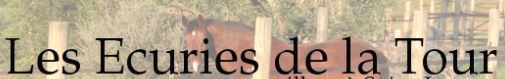 écuries de la tour