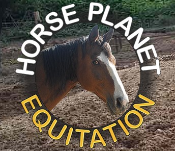 horse plante equitation, pension pour chevaux dans les alpes maritimes