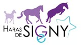 haras de signy, pension pour chevaux dans les ardennes