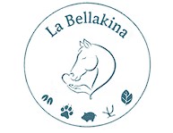 la bellakina, pension pour chevaux dans l ariege