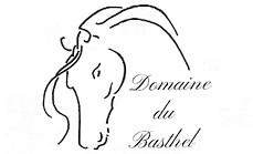 domaine du basthel, pension pour chevaux dans l ariege