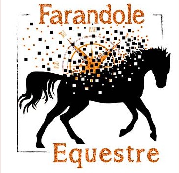 farandole equestre, pension pour chevaux dans l ariege