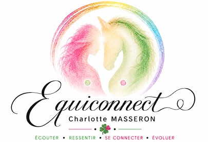 equiconnect, pension pour chevaux dans l aube