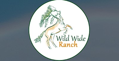 wild wide ranch, pension pour chevaux dans l aude