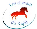les chevaux du rajal, pension pour chevaux dans l aveyron
