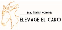 elevage el caro, pension pour chevaux dans l aveyron