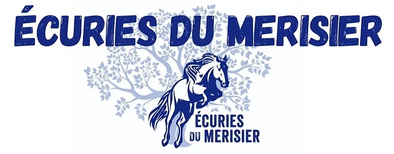 ecuries du merisier, pension pour chevaux dans le calvados