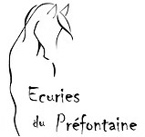 ecuries de prefontaine, pension pour chevaux dans le cantal