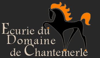 écurie du domaine de chantemerle