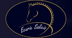 ecurie salicio, pension pour chevaux en charente