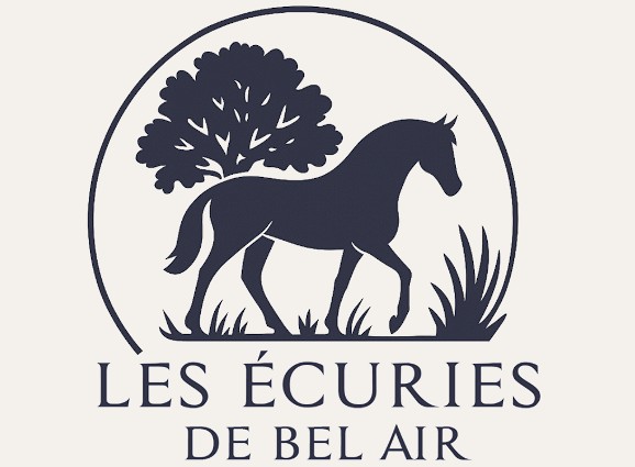 les ecuries de bel air, pension pour chevaux en charente-maritime