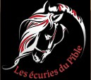 les ecuries du pible, pension pour chevaux en charente-maritime