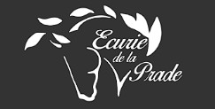 ecurie de la prade, pension pour chevaux dans la correze
