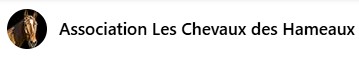 association les chevaux des hameaux, pension pour chevaux dans la cote d or
