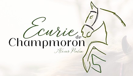 ecurie de champmoron, pension pour chevaux dans la cote d or