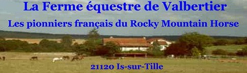 ferme equestre valbertier, pension pour chevaux dans la cote d or