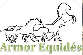 armor equides, pension pour chevaux dans les cotes d armor
