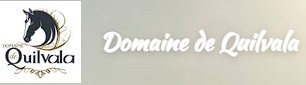 domaine de quilvala, pension pour chevaux dans les cotes d armor 22