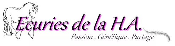 ecuries de la ha