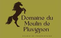 domaine du moulin de pluvignon