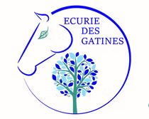 pension chevaux écurie des gatines