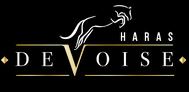 pension cheval haras de voise