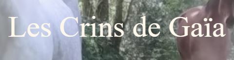 pension crins de gaïa