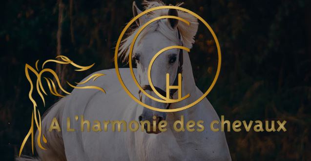 à l'harmonie des chevaux