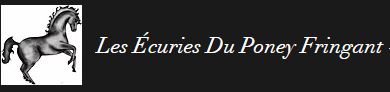 écuries du poney fringant