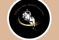 les ecuries des beaux vallons centre équestre pension chevaux