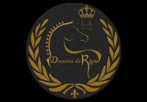 domaine du regne pension haut gamme pour chevaux