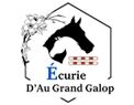 pension cheval écurie au grand galop
