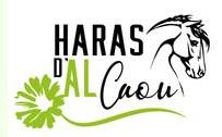 pension pour chevaux haras d'alcaou