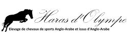 haras d'olympe pension chevaux de sport