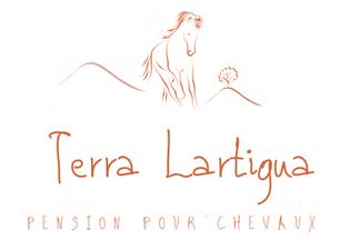 pension pour chevaux terra lartigua