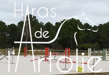 haras de l'artolie
