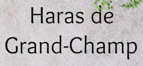 haras de grand-champ