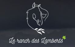 le ranch des lamberts pension, initiation et balades à cheval