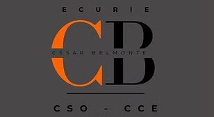 écurie César Belmont pension chevaux