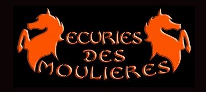 écuries des moulieres pensions chevaux