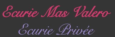 écurie privée mas valero pension chevaux