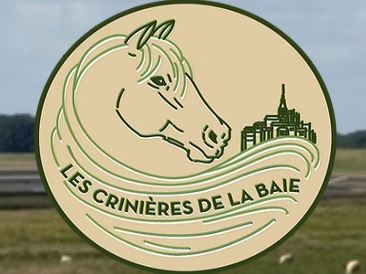 les crinières de la baie écurie de propriétaire