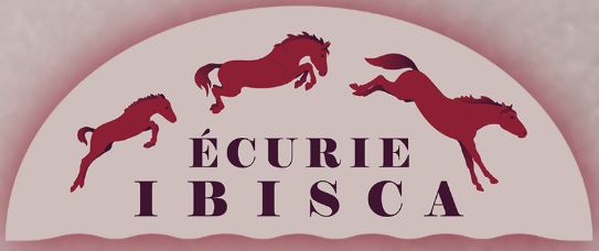 écurie ibisca écurie de propriétaire dans l'indre