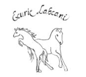 écurie labcani