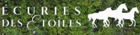 écuries des étoiles à 15 km de Tours