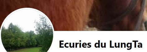 écuries du LungTa pension pour chevaux isère