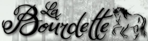 la bourdette