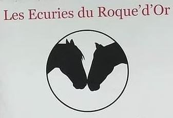 les écuries du roque d'or pension et valorisation du cheval